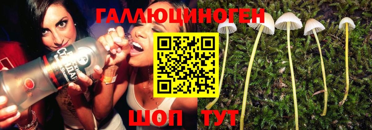 сколько стоит  Псилоцибиновые грибы Psilocybine cubensis  Галлюциногенные грибы MAGIC MUSHROOMS  Вход с VPN  Апатиты 